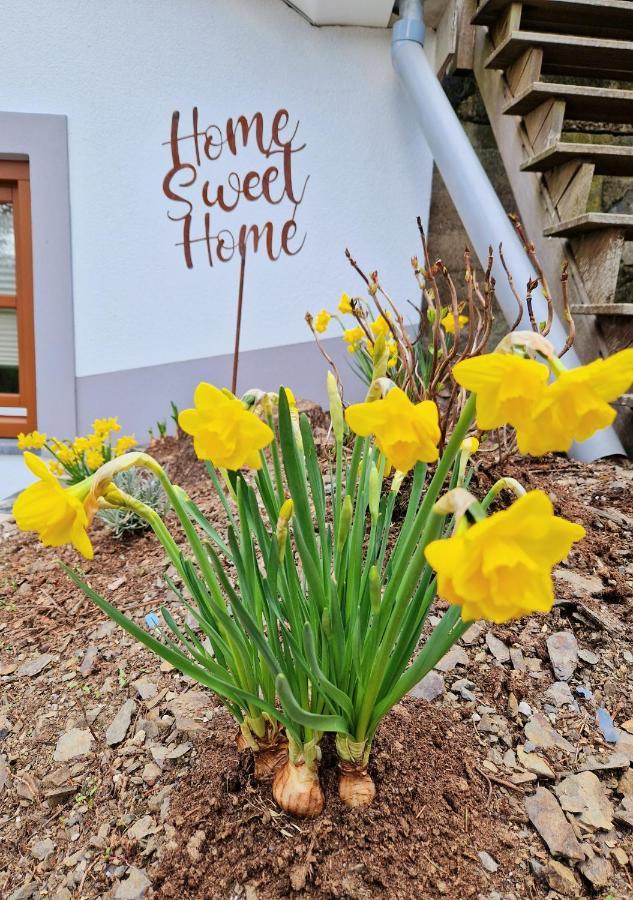 Daffodils Villa Enscherange Екстериор снимка